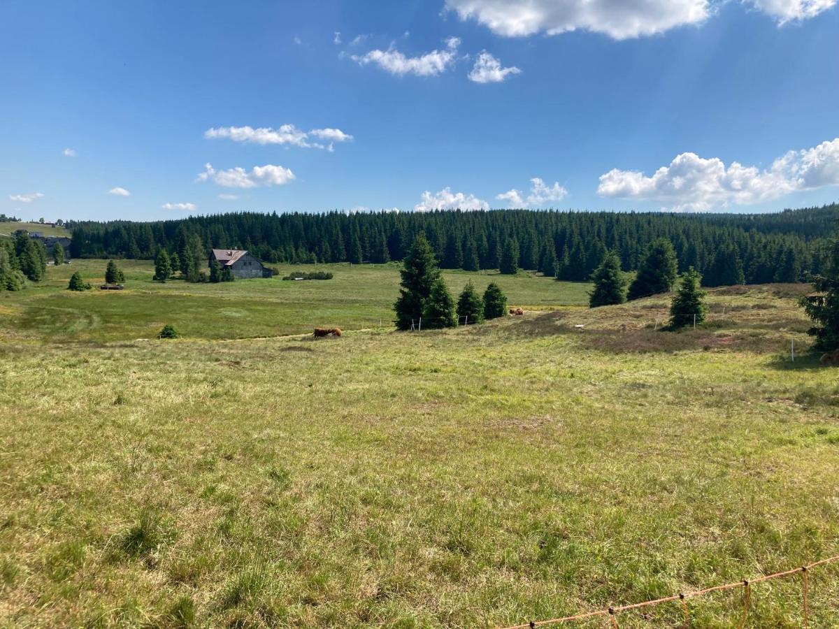 Apartmán V lese Bedřichov Kültér fotó