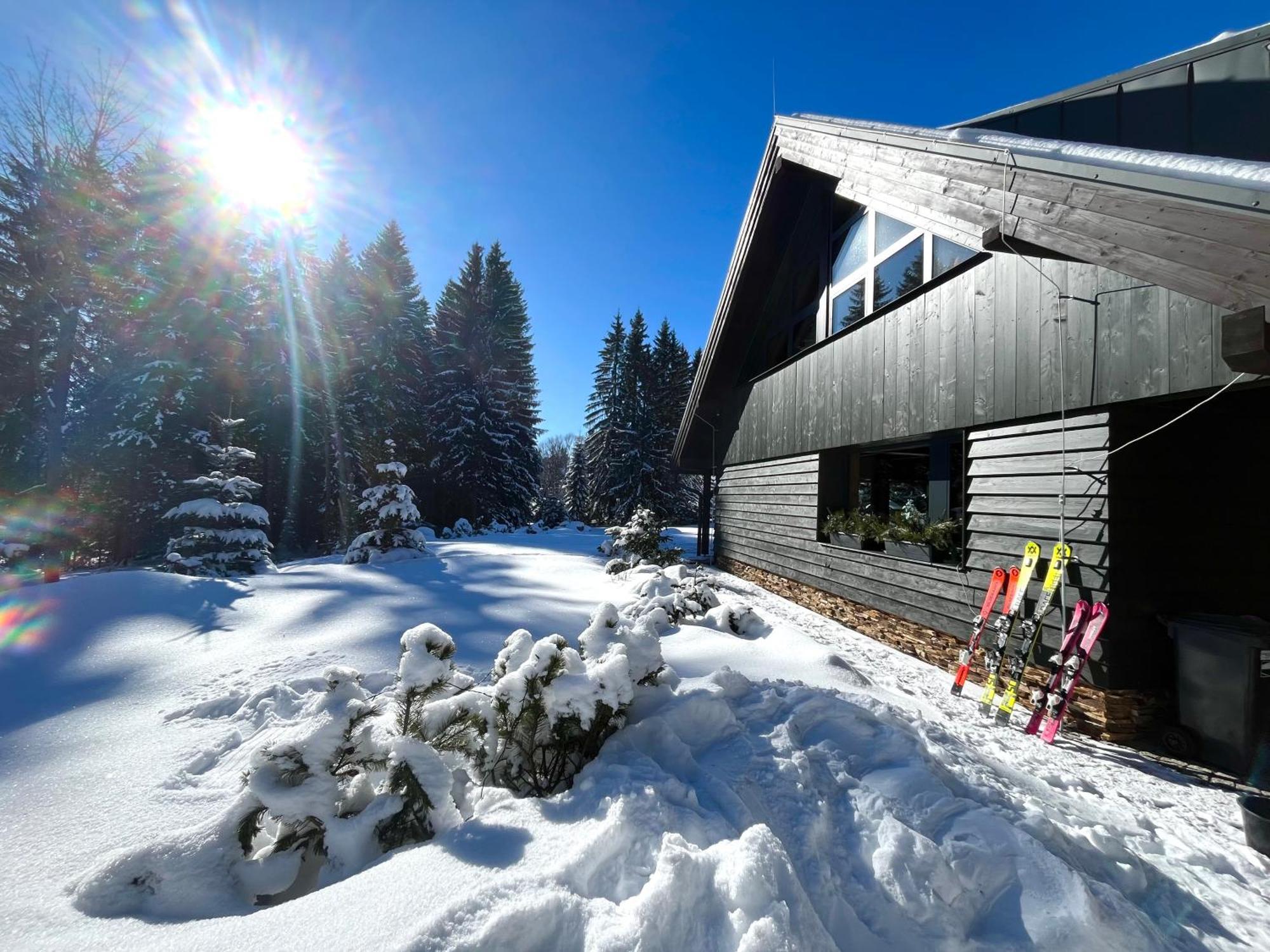 Apartmán V lese Bedřichov Kültér fotó
